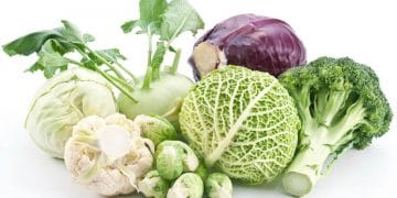 Cabbage Diet: flat stomach for 14 days