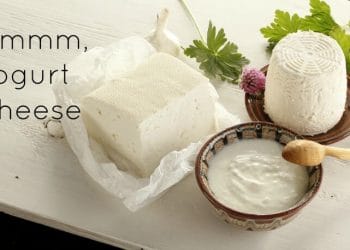 3 delicious homemade low-fat dairy recipes