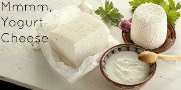 3 delicious homemade low-fat dairy recipes