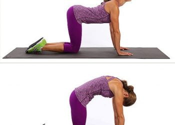 Exercises for lower back pain. Healthy gymnastics